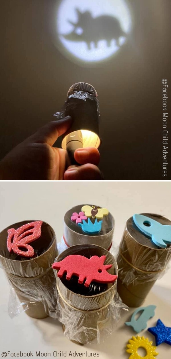 Toilet Paper Rolls Projectors DIY