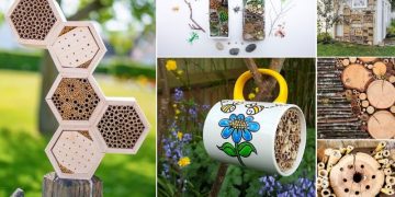 The Best DIY Bug Hotel Ideas